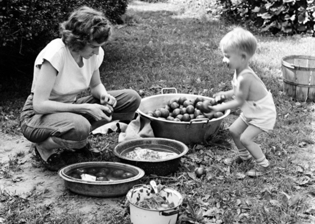 1948: Wet and dry